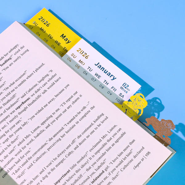 D.Castle (With Light & Calendar 2026)